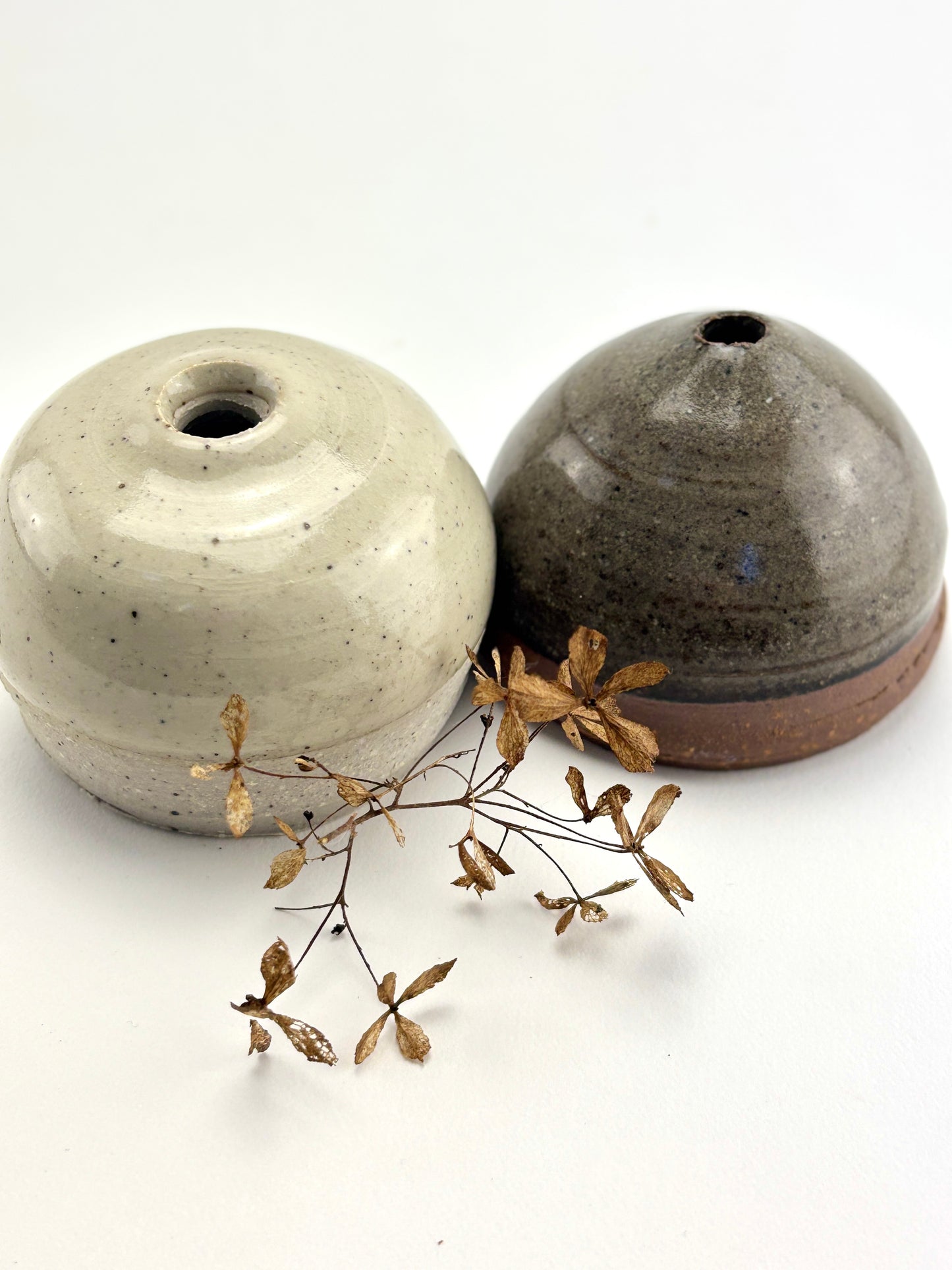 Capsule Vanilla Latte