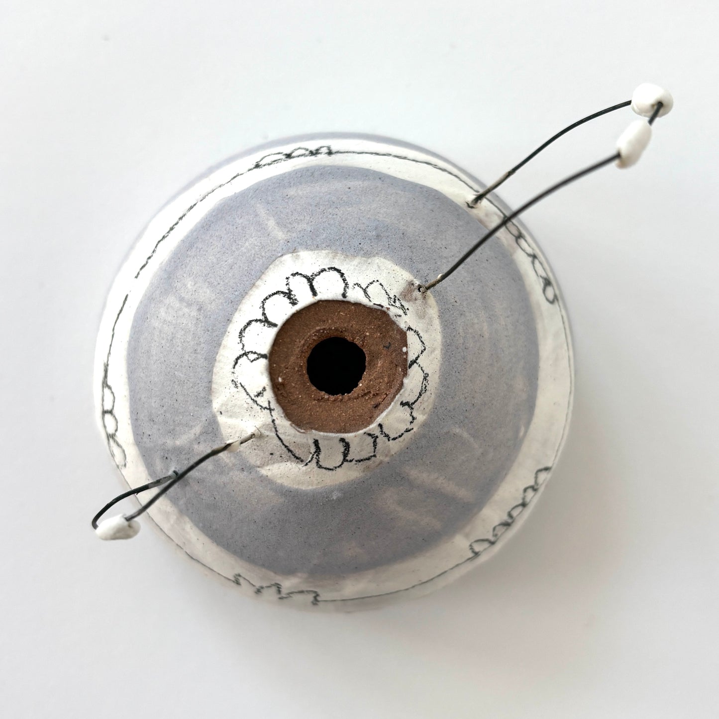 wisteria wings capsule