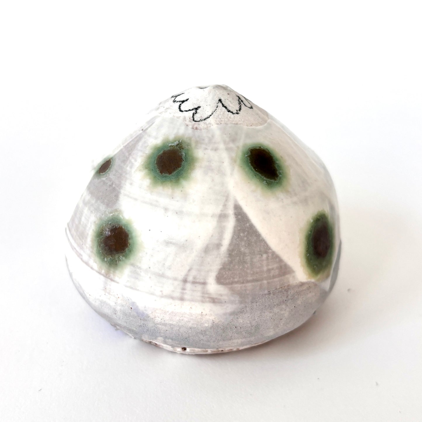 green dot daisy capsule