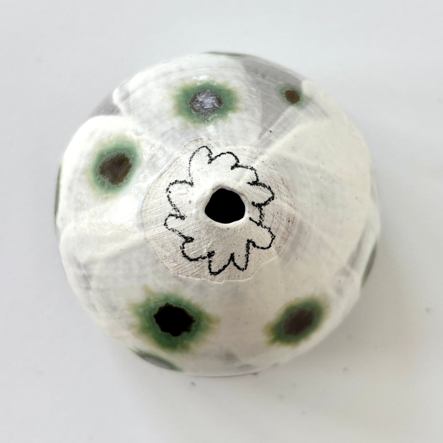 green dot daisy capsule