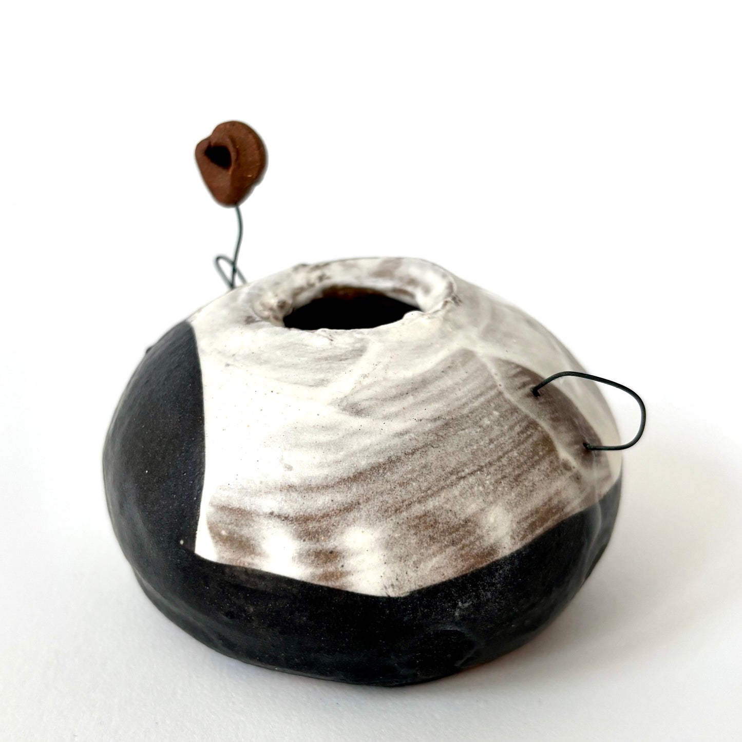 shell