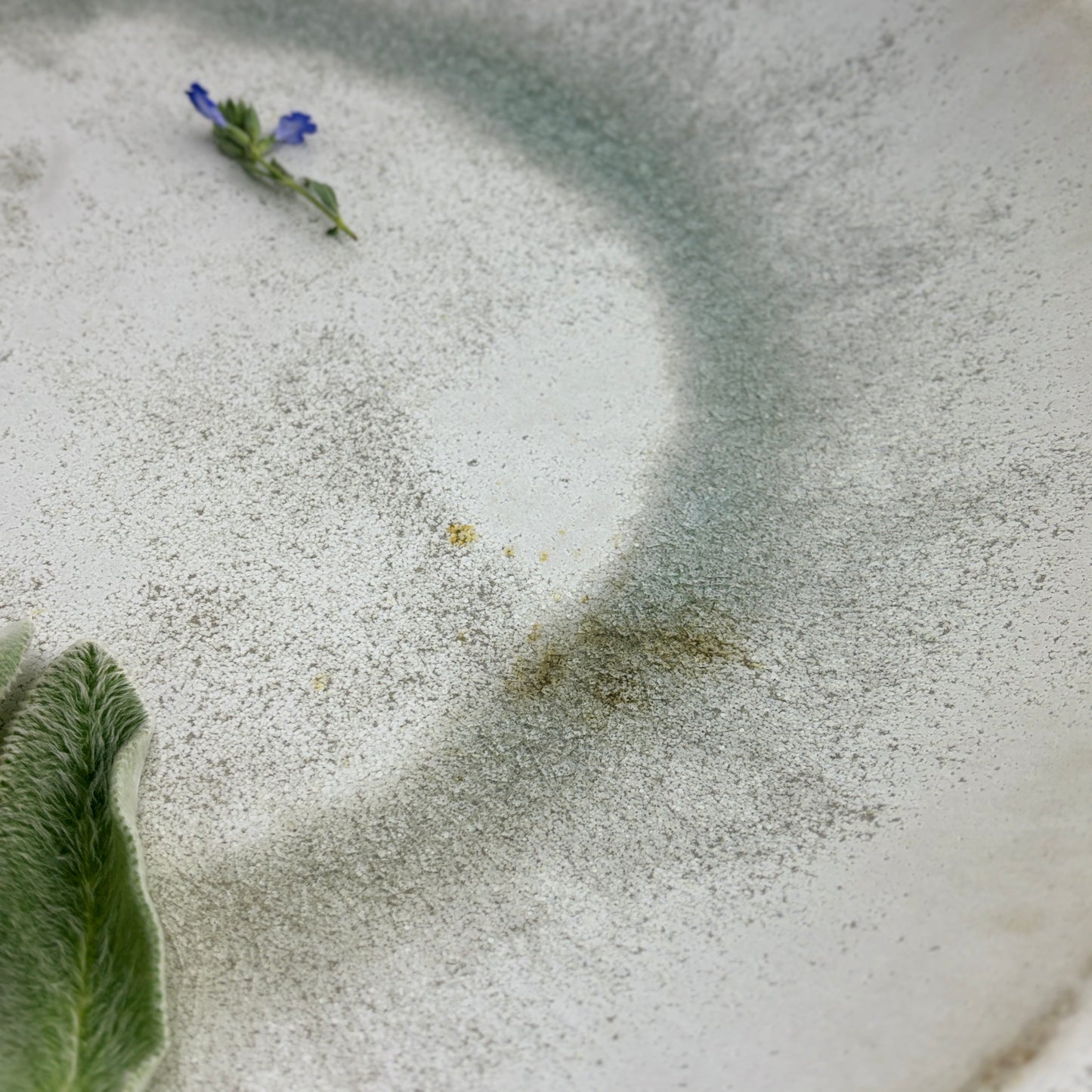 Spacious bowl 2 Rain