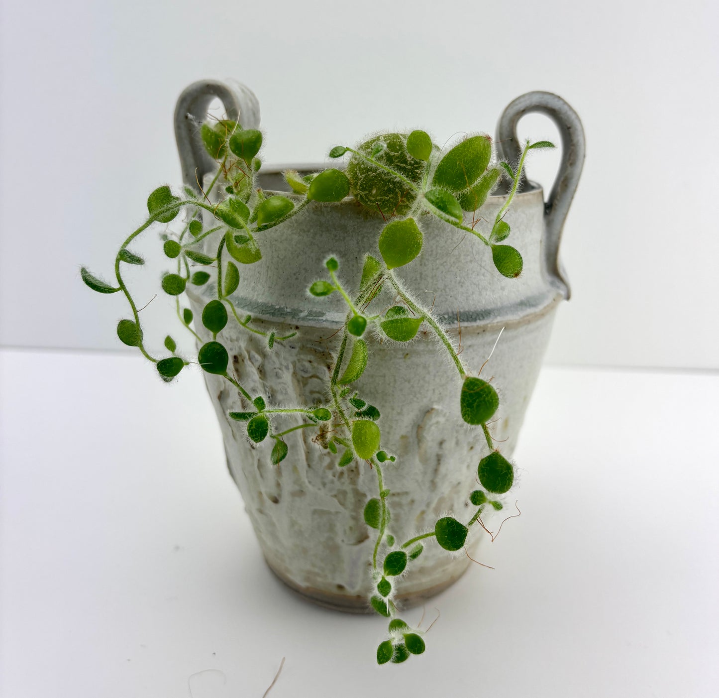 Cachepot vase Fog Bow M