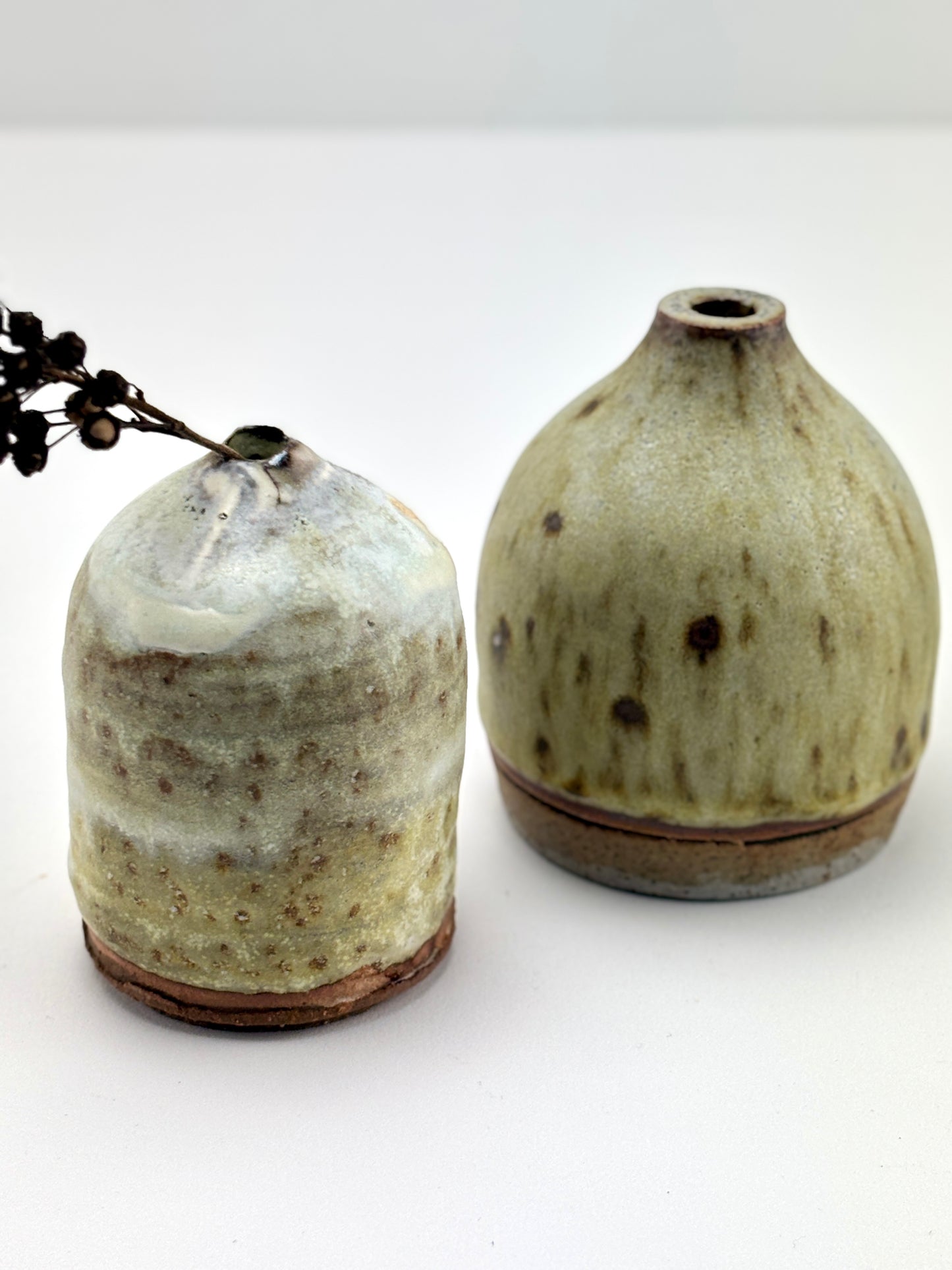 Capsule Winter Hay 1