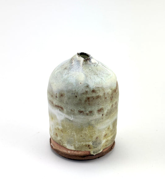 Capsule Winter Hay 1