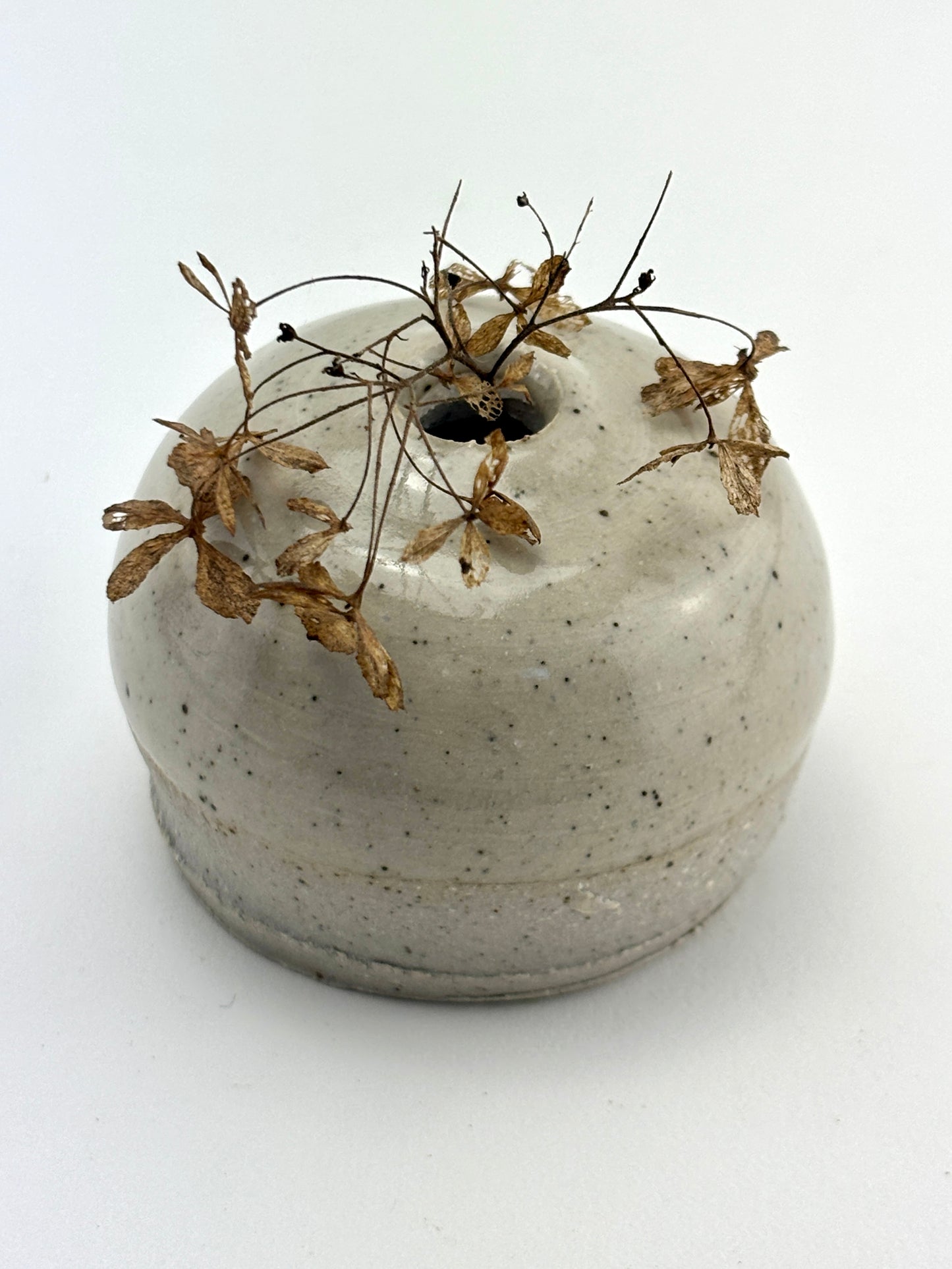 Capsule Vanilla Latte