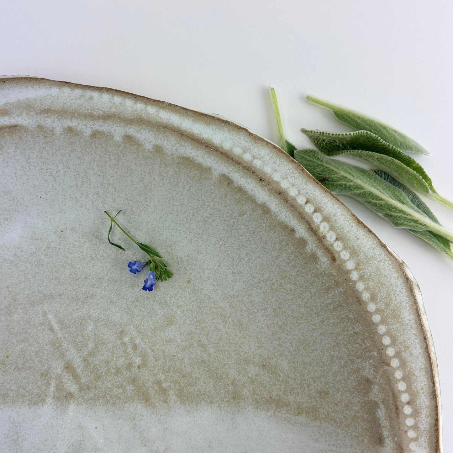 Spacious bowl, Fog bow