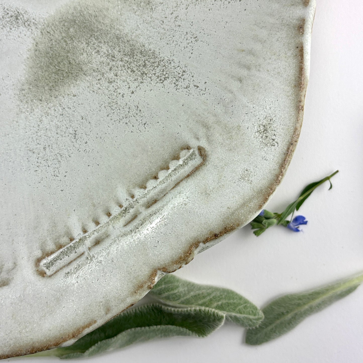 Spacious bowl 1 Rain