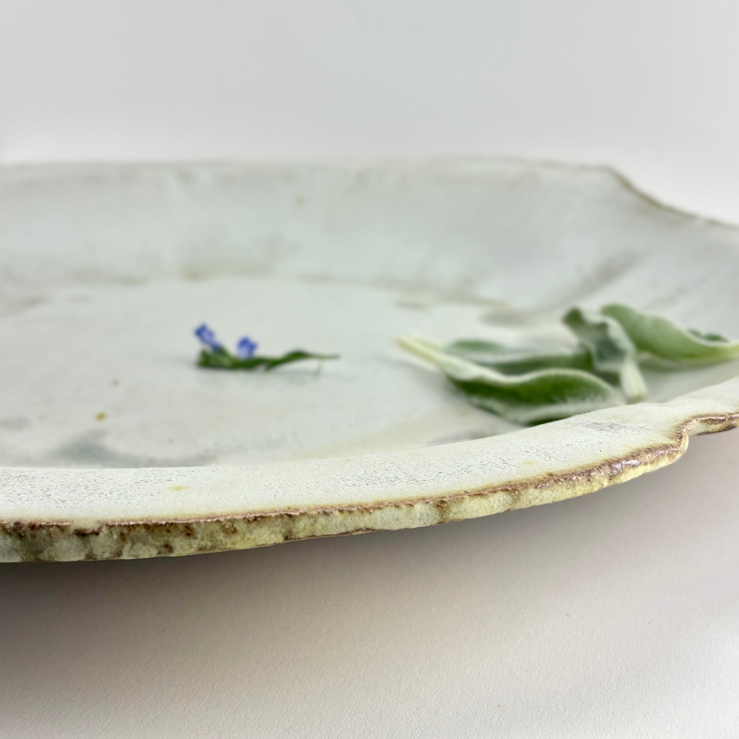 Spacious bowl 1 Rain