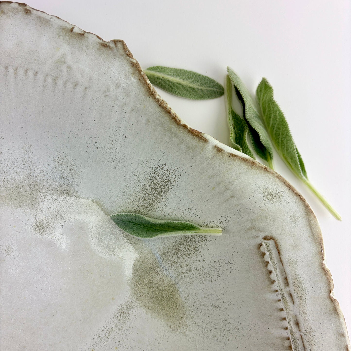 Spacious bowl 1 Rain