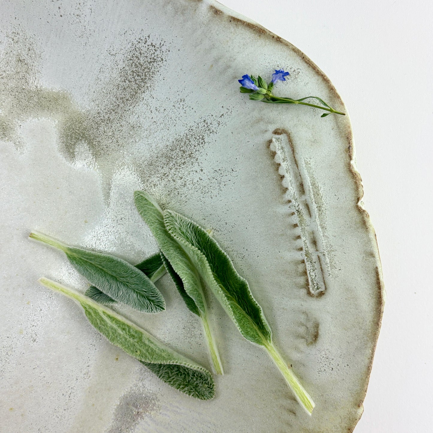 Spacious bowl 2 Rain