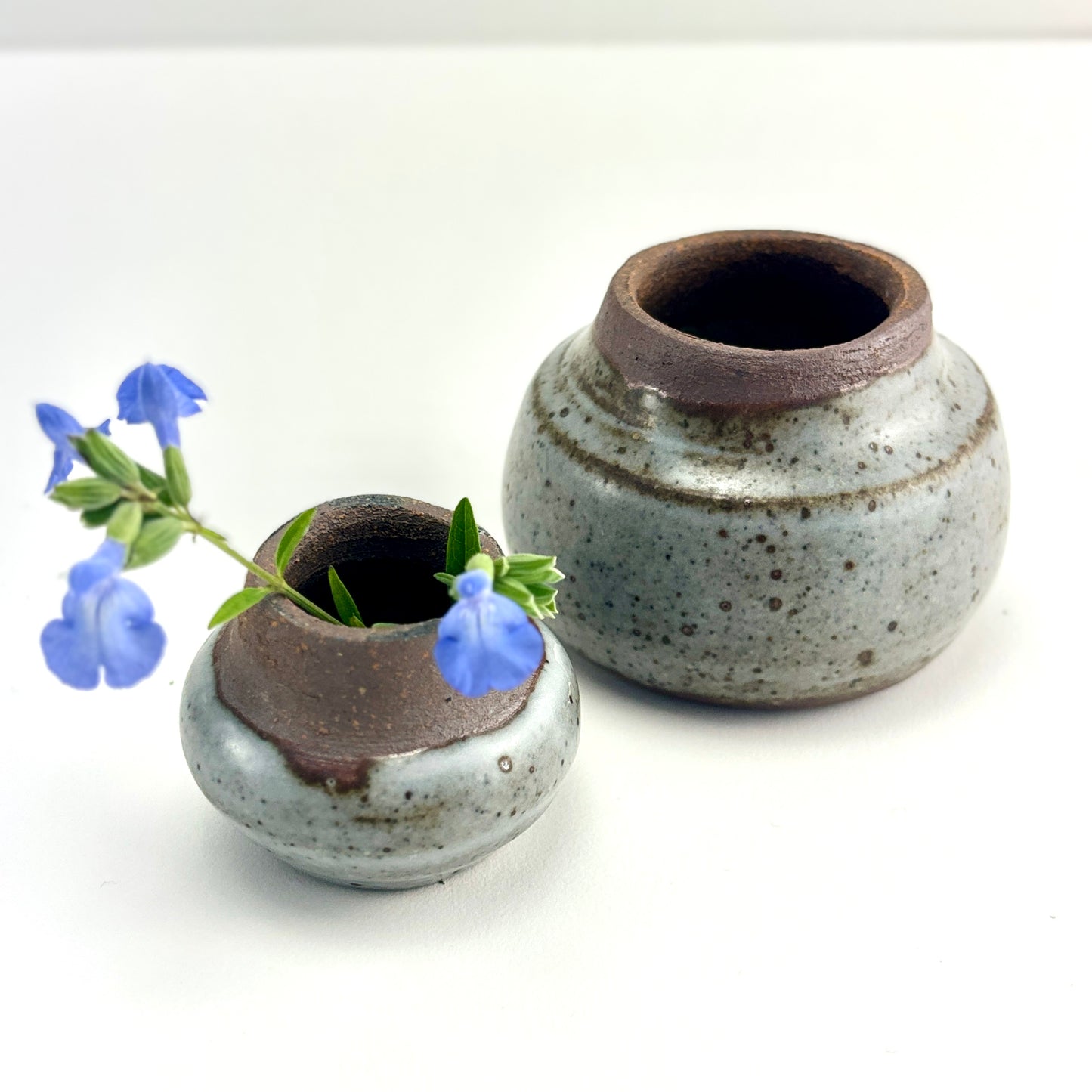 bud jar dark clay Haze