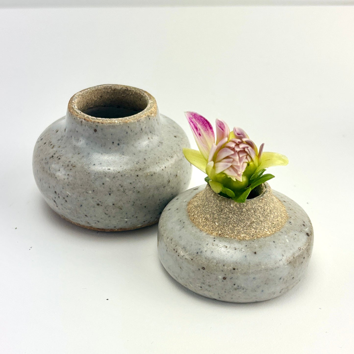 bud jar light clay Haze