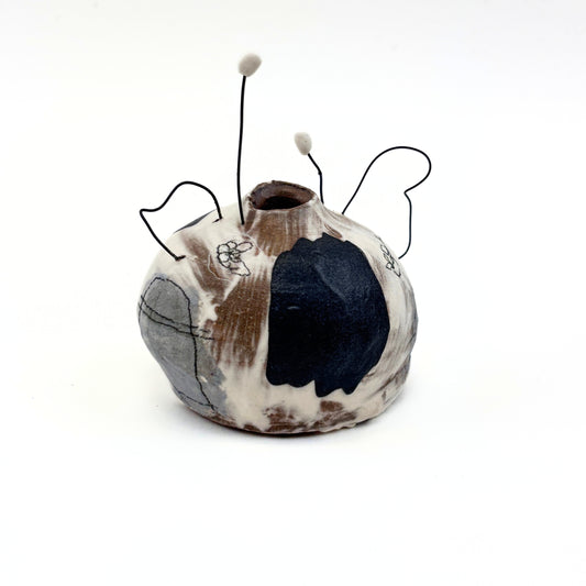 winged capsule